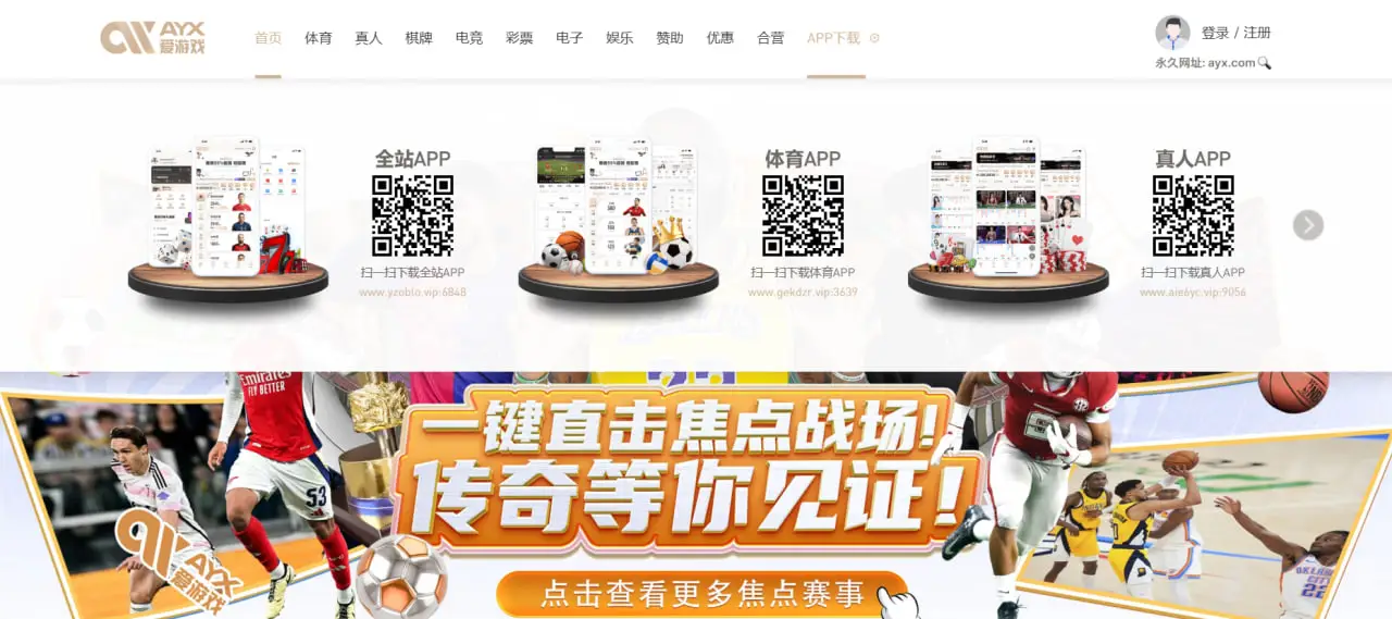 平台概览与发展历史