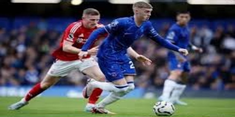 争议根源何在？第二张黄牌的“技术盲区”让森林队瞬间陷入被动- 爱游戏